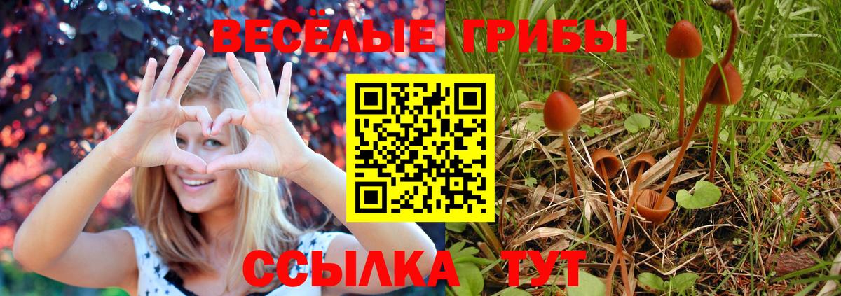 Галлюциногенные грибы MAGIC MUSHROOMS Полысаево